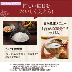 NW-YC10-BZ ZOJIRUSHI スト...の詳細画像5