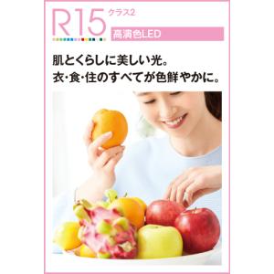 OD261886R 在庫あり オーデリック ダ...の詳細画像2