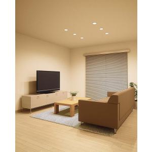 OD261894R オーデリック ダウンライト...の詳細画像3