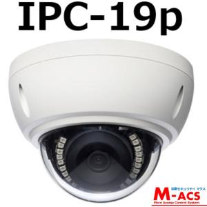 あすつく IPC-19p ( IPC-19 後継機) フルHDドーム型 IPネットワークカメラ ソリッドカメラ SolidCamera 【終売後は後継機のカラー暗視タイプをお届け】