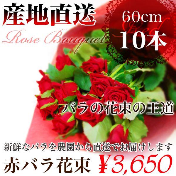 プレゼントに！赤の薔薇 花束　60ｃｍ10本　これぞバラの 花束の王道　/バラ/ばら/薔薇/花 束