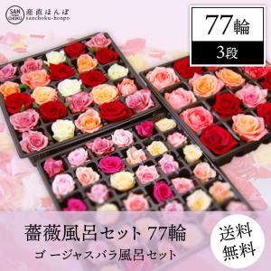 プレゼントに！薔薇風呂 セット77輪　ちょっとリッチにゴ ージャスバラ風呂セット　/薔薇 風呂/バラ/ばら/薔薇
