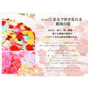 プレゼントに!薔薇風呂 セット61輪 ちょっと...の詳細画像2