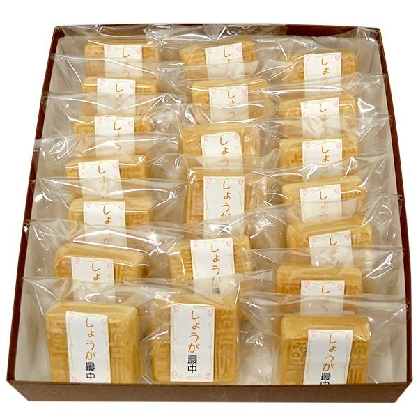 福岡の老舗和菓子店梅家のしょうが最中（20個入り）志賀島出土の金印最中