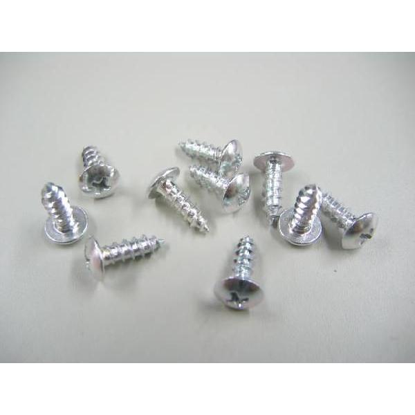 決済済限定特典・メール便送料無料!!タッピングスクリュー シルバー 4×12mm