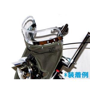 ワイズギア アルミシートカウル 60TH XSR900 60th Anniversary用