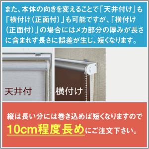 遮光 ロールスクリーン|1cm単位 オーダーメ...の詳細画像5