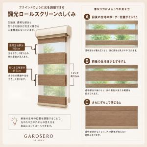 調光ロールスクリーン 1cm単位オーダー 採光...の詳細画像1