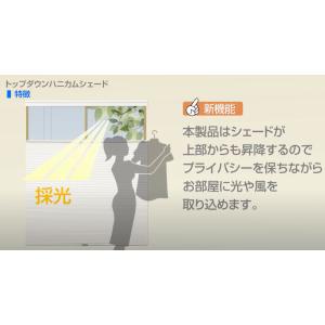 (コードレス) 上下開閉可能 トップダウン ハ...の詳細画像2
