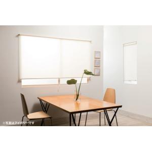 フルネス（Fullness） （プルハンドル付属・無地） ロールスクリーン