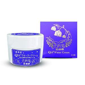 Q10ウォータークリーム 80g / 北海道天然堂