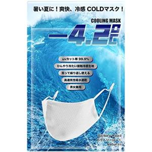 Cooling Mask マスク 冷感 メッシュ