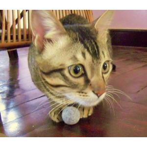 ナチュラル ねこ フェルトボール おもちゃ 1個の詳細画像3