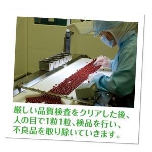 葉酸サプリメント マタニティサプリメント 葉酸...の詳細画像2