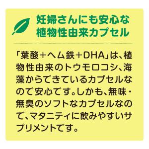 葉酸サプリメント マタニティサプリ 葉酸+ヘム...の詳細画像3