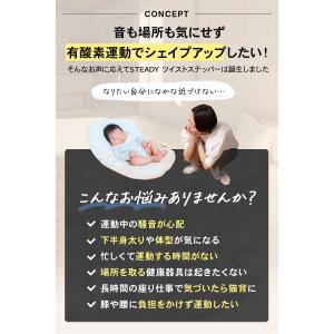 ツイストステッパー ステッパー 静音 3WAY...の詳細画像3