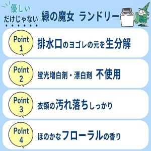 【大容量】 緑の魔女ランドリー(洗濯用洗剤) ...の詳細画像4