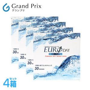ユーロワンデー 4箱 コンタクトレンズ 1day