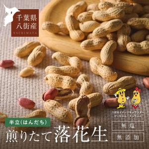 【千葉県八街産100％】落花生 千葉半立【300g】(150g2袋) （チバハンダチ）千葉県産 無添加 無着色 無塩 八街市 ナッツ ピーナッツ
