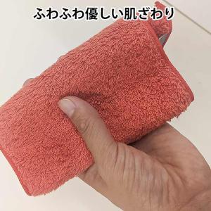 今治 ハーフ タオルハンカチ 全5色カラー 1...の詳細画像4