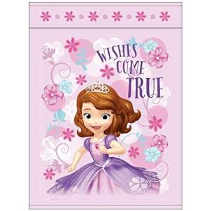 お昼寝ケット 保育園 ちいさなプリンセスソフィア