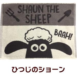 綿バスマット 約45×60cm 手軽に使える洗...の詳細画像1