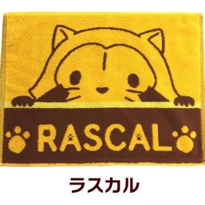綿バスマット 約45×60cm 手軽に使える洗...の詳細画像2