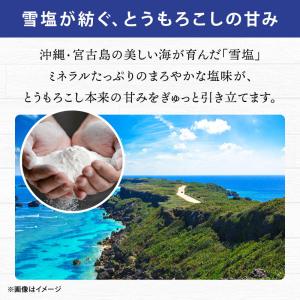 スナック菓子 揚げとうもろこし 個包装 宮古島...の詳細画像3