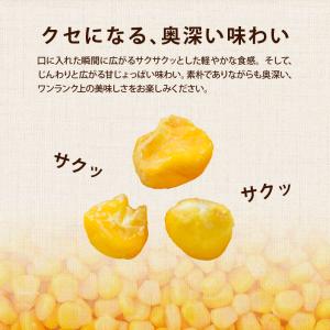 スナック菓子 揚げとうもろこし 個包装 宮古島...の詳細画像4