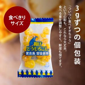 スナック菓子 揚げとうもろこし 個包装 宮古島...の詳細画像5