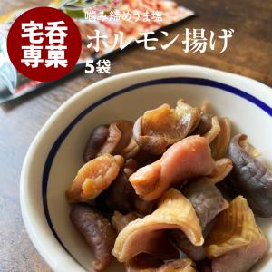 ホルモン揚げ 5袋 おつまみ 珍味 持ち運びに便利な 小袋 おやつ お土産 B級グルメ お取り寄せグルメ｜MAEDAYA 前田家