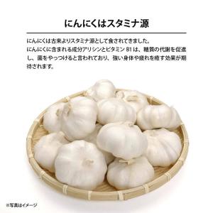 おつまみ 揚げにんにく 220g 前田家 焼き...の詳細画像3