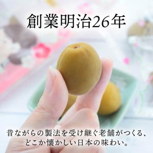 カリカリ梅 あかぎの甘梅 100gx3袋 個包...の詳細画像2