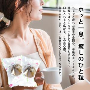 カリカリ梅 あかぎの甘梅 100gx3袋 個包...の詳細画像3