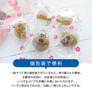 カリカリ梅 あかぎの甘梅 100gx3袋 個包...の詳細画像5