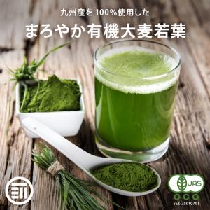 前田家 無添加 青汁 大麦若葉粉末 100g 有機 国産 九州産 純国産 オーガニック あおじる 野菜不足 野菜摂取 ドリンク 食物繊維 ビタミン ミネラル サプリ｜maedaya