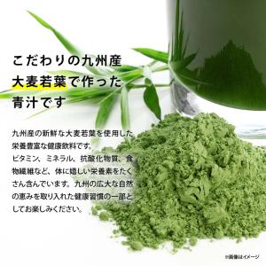 青汁 無添加 大麦若葉粉末 70g 前田家 国...の詳細画像2