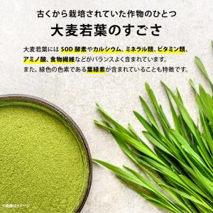 青汁 無添加 大麦若葉粉末 70g 前田家 国...の詳細画像3