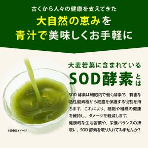 青汁 無添加 大麦若葉粉末 70g 前田家 国...の詳細画像4