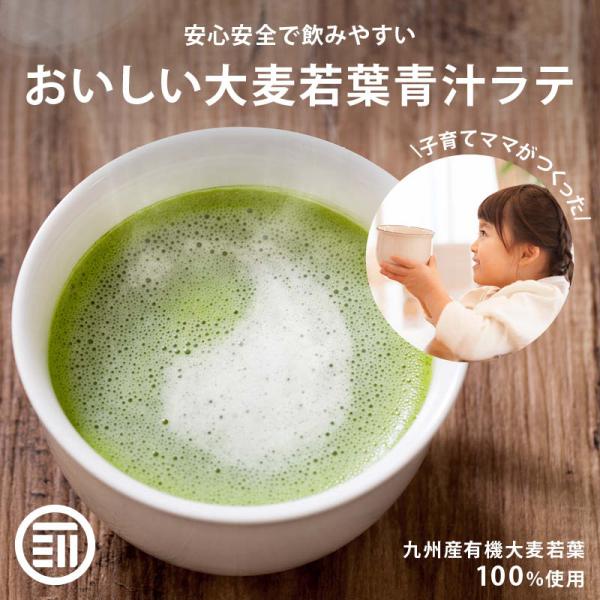 青汁 牛乳でつくる 青汁ラテ 100g 前田家 無添加 国産 九州産 大麦若葉 有機青汁 粉末 食物...