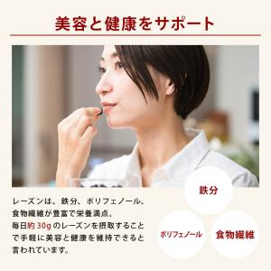 レーズン ノンオイル 前田家 無添加 カリフォ...の詳細画像4