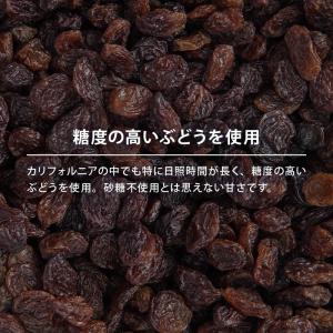 レーズン ノンオイル 前田家 無添加 カリフォ...の詳細画像5