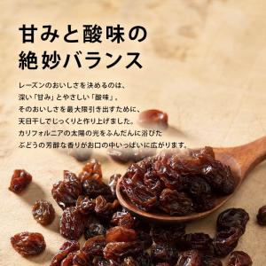 レーズン ノンオイル 前田家 無添加 カリフォ...の詳細画像2