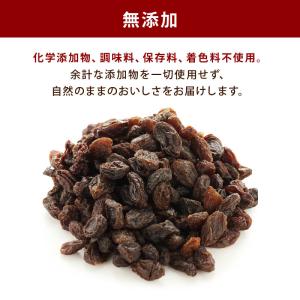 レーズン ノンオイル 前田家 無添加 カリフォ...の詳細画像5