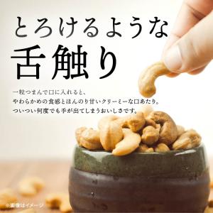 ナッツ 素焼きカシューナッツ 700g 無塩 ...の詳細画像3