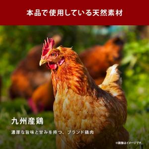 だし 完全無添加 中華だし 粉末タイプ 計30...の詳細画像3