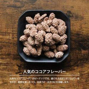 ピーナッツ ココアピー 500g 前田家 ココ...の詳細画像2