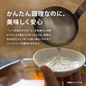 だし 完全無添加 チキンコンソメ 粉末タイプ ...の詳細画像1