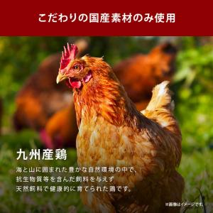 だし 完全無添加 チキンコンソメ 粉末タイプ ...の詳細画像3