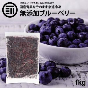 国産 熊本県産 ブルーベリー 冷凍 1kg(1000g) x 1袋 無添加